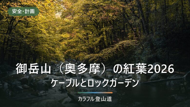 御岳山(東京)の紅葉2026|今歩ける道と通行止め4区間、日没16時台からの下山時刻