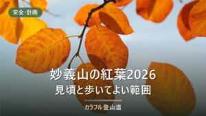 妙義山の紅葉2026｜場所別の見頃と、2025年12月27日の登山道規制解除後に歩ける範囲