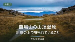 苗場山の山頂湿原と池塘――標高2,145mの溶岩台地はなぜ特別保護地区634haなのか