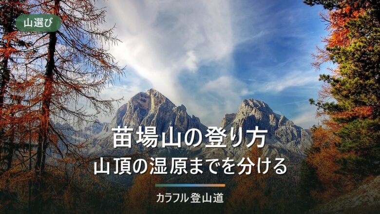 苗場山の登り方|祓川と小赤沢三合目を標高差877mと835mで比べる