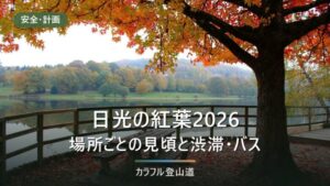 日光の紅葉2026の見頃はいつ？標高1,500mの湯元から社寺まで場所別の時期と交通対策