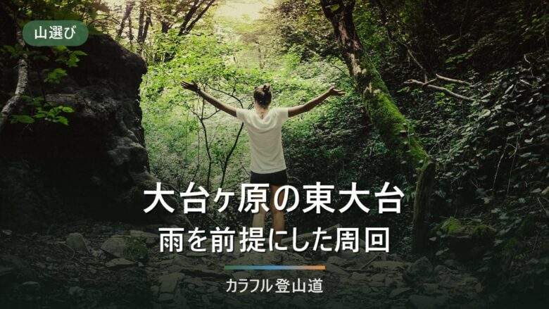 大台ヶ原の東大台周回は初心者でも歩けるか|日出ヶ岳1,695mのコースタイムと雨前提の持ち物
