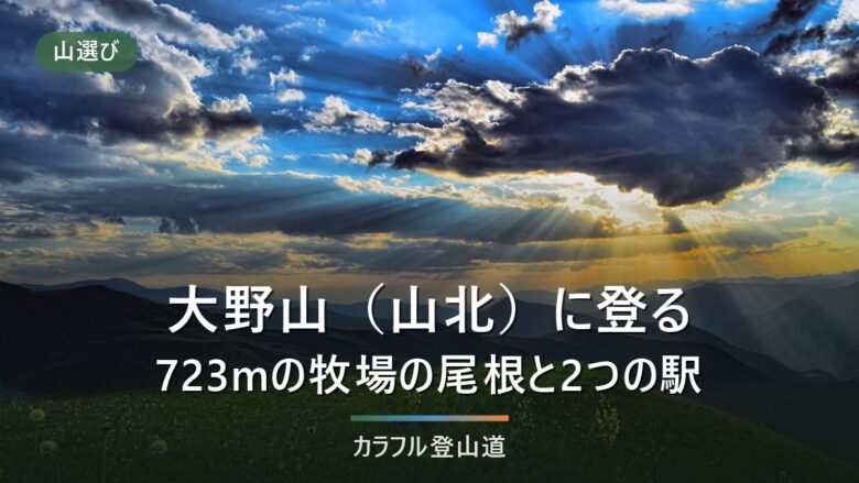 大野山(山北町・723m)登山は谷峨駅と山北駅で登りが約1時間違う|駐車場なしと牧場の今