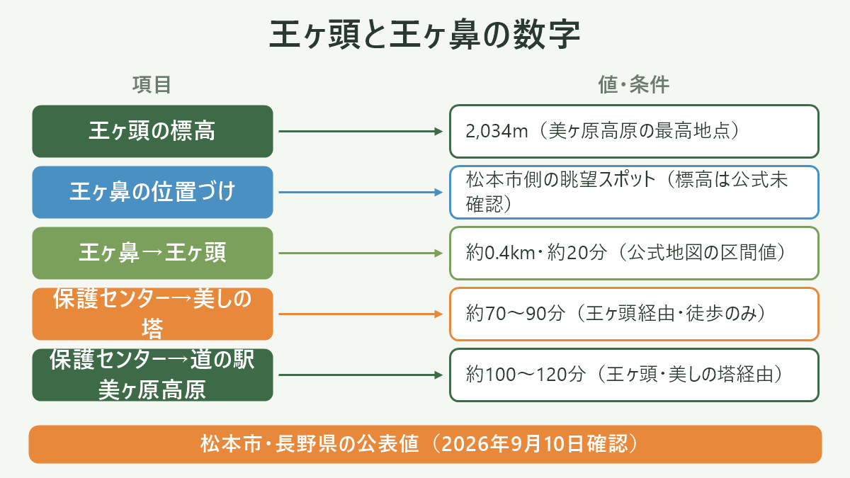 王ヶ頭と王ヶ鼻の数字。左に項目、右に値・条件を並べた対応表の図解。王ヶ頭の標高=2,034m(美ヶ原高原の最高地点)/王ヶ鼻の位置づけ=松本市側の眺望スポット(標高は公式未確認)/王ヶ鼻→王ヶ頭=約0.4km・約20分(公式地図の区間値)/保護センター→美しの塔=約70〜90分(王ヶ頭経由・徒歩のみ)/保護センター→道の駅美ヶ原高原=約100〜120分(王ヶ頭・美しの塔経由)。図の下部に「松本市・長野県の公表値(2026年9月10日確認)」と注記。