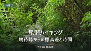 尾瀬ハイキングは初心者向きか｜鳩待峠1,591mからの標高差と日帰りで歩ける距離の決め方