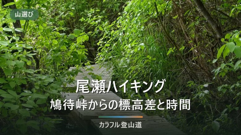 尾瀬ハイキングは初心者向きか|鳩待峠1,591mからの標高差と日帰りで歩ける距離の決め方