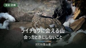 ライチョウに会える山と、会ったときにしてはいけないこと｜特別天然記念物としての扱い