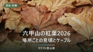 六甲山の紅葉2026｜見頃は例年10月中旬〜11月下旬、場所別の目安と紅葉谷道・ケーブルの確認先