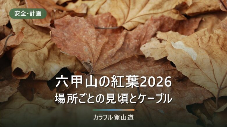 六甲山の紅葉2026|見頃は例年10月中旬〜11月下旬、場所別の目安と紅葉谷道・ケーブルの確認先