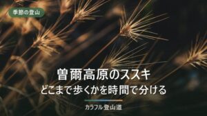 曽爾高原のススキを見たあとどこまで歩くか｜亀山849mと倶留尊山1,038mを入山料で分ける