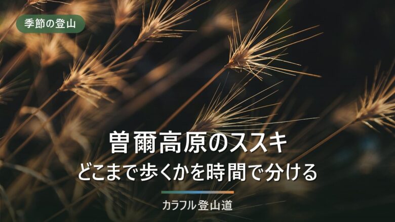 曽爾高原のススキを見たあとどこまで歩くか|亀山849mと倶留尊山1,038mを入山料で分ける