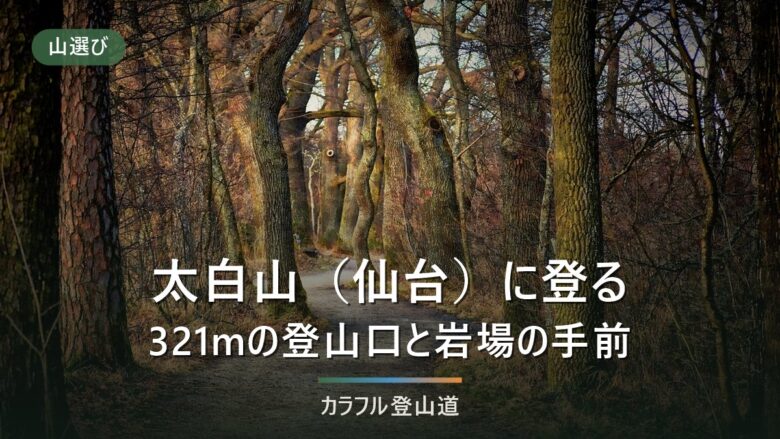 太白山(仙台市)の登山|標高320.7m・山頂まで目安30分と「禁止」の噂の確かめ方