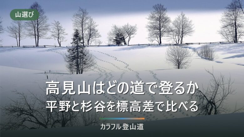 高見山はどの登山口から登るか|平野(たかすみ温泉)と杉谷をコースタイムで比べる