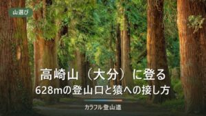 高崎山（大分・628m）の登り方｜南登山口から約1時間、猿の生息地を歩く前に決める4つの入口