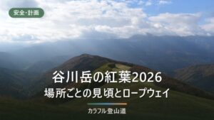 谷川岳の紅葉2026｜見頃の目安とロープウェイ上り最終16:30・紅葉期駐車場の夜間閉鎖