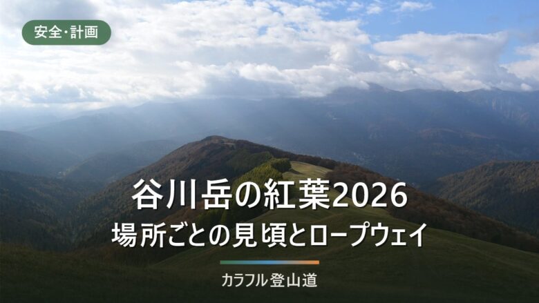 谷川岳の紅葉2026|見頃の目安とロープウェイ上り最終16:30・紅葉期駐車場の夜間閉鎖