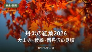 丹沢の紅葉2026はいつ？大山寺の目安11月中下旬と表丹沢・西丹沢の通行止め