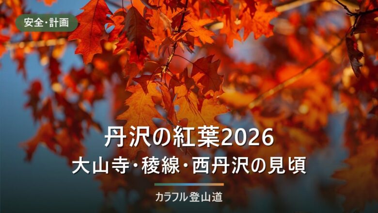 丹沢の紅葉2026はいつ?大山寺の目安11月中下旬と表丹沢・西丹沢の通行止め