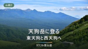 天狗岳の登山口5つ｜渋の湯往復6.4時間と最終バス15:30の関係、黒百合ヒュッテ泊の組み方