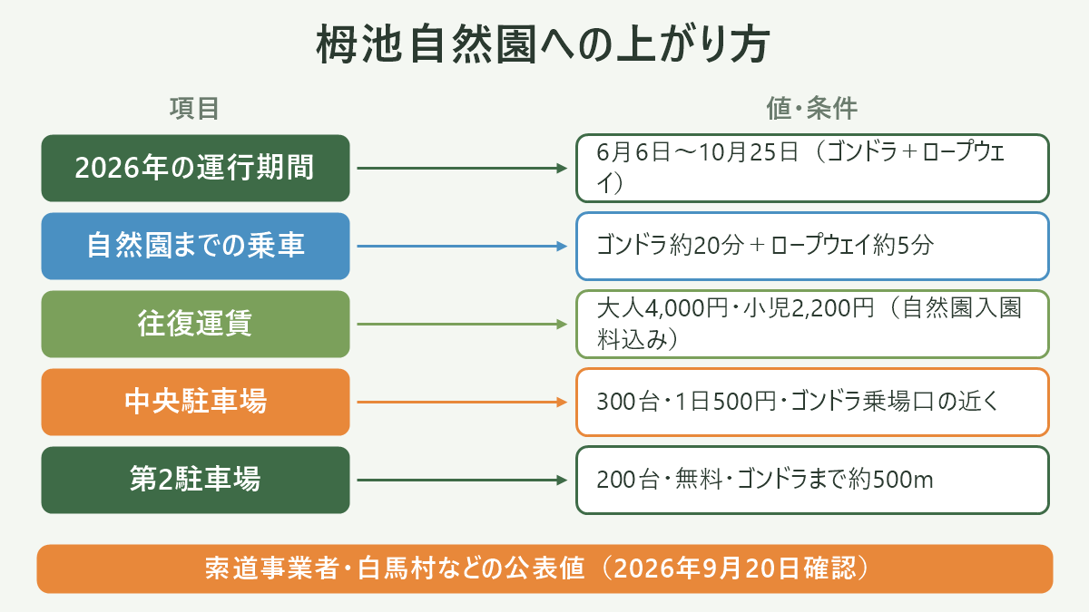 栂池自然園への上がり方。左に項目、右に値・条件を並べた対応表の図解。2026年の運行期間=6月6日〜10月25日(ゴンドラ+ロープウェイ)/自然園までの乗車=ゴンドラ約20分+ロープウェイ約5分/往復運賃=大人4,000円・小児2,200円(自然園入園料込み)/中央駐車場=300台・1日500円・ゴンドラ乗場口の近く/第2駐車場=200台・無料・ゴンドラまで約500m。図の下部に「索道事業者・白馬村などの公表値(2026年9月20日確認)」と注記。