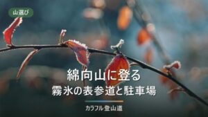綿向山（1,110m）の登山道は今歩ける？表参道の閉鎖は令和8年末まで・霧氷と冬の備え