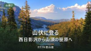 山伏（静岡市）の登山ガイド｜西日影沢から往復5.5時間・8.1kmと登山口までの道の今