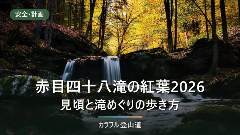 赤目四十八滝の紅葉2026｜例年の見頃は11月中旬・約3.3km往復3時間の歩き方