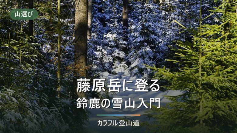 藤原岳の登山道は今どこが通れる？孫太尾根の通行禁止と大貝戸道・聖宝寺道の現況【2026年10月】