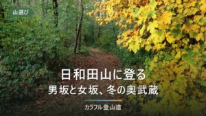 日和田山305mは男坂と女坂どちらで登る？高麗駅から約25分・巾着田と冬の判断