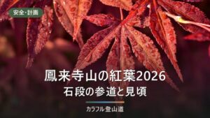 鳳来寺山の紅葉2026年｜もみじまつり11月9日〜12月6日と石段1,425段の歩き方