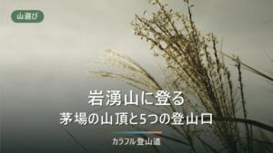 岩湧山897mの登り方｜岩湧の森・紀見峠駅など5つの登山口と山頂のススキ草原