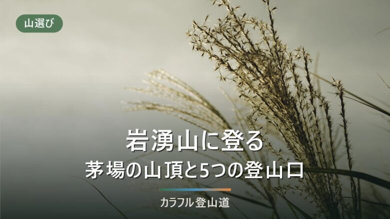 岩湧山897mの登り方|岩湧の森・紀見峠駅など5つの登山口と山頂のススキ草原