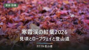 寒霞渓の紅葉2026｜小豆島の見頃は例年11月上旬〜下旬・表十二景2kmとロープウェイ5分