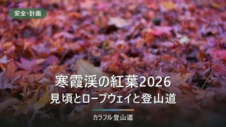 寒霞渓の紅葉2026｜小豆島の見頃は例年11月上旬〜下旬・表十二景2kmとロープウェイ5分