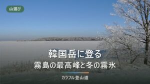 韓国岳1,700mの登り方｜えびの高原から山頂90分と2026年10月の火山規制