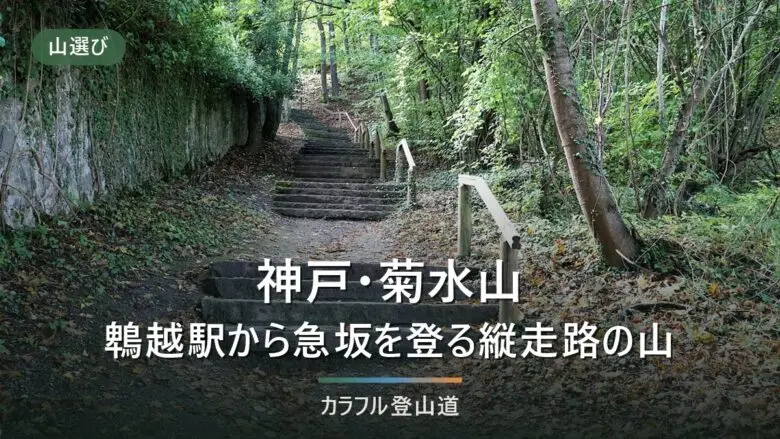 菊水山は11月8日が六甲全山縦走大会｜鵯越駅・鈴蘭台駅から登る急坂と天王吊橋の迂回路