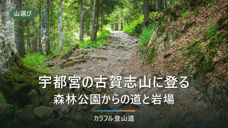 古賀志山の南登山道は落石で一部代替ルートに|宇都宮市森林公園からの北コースと12月の日没16時台