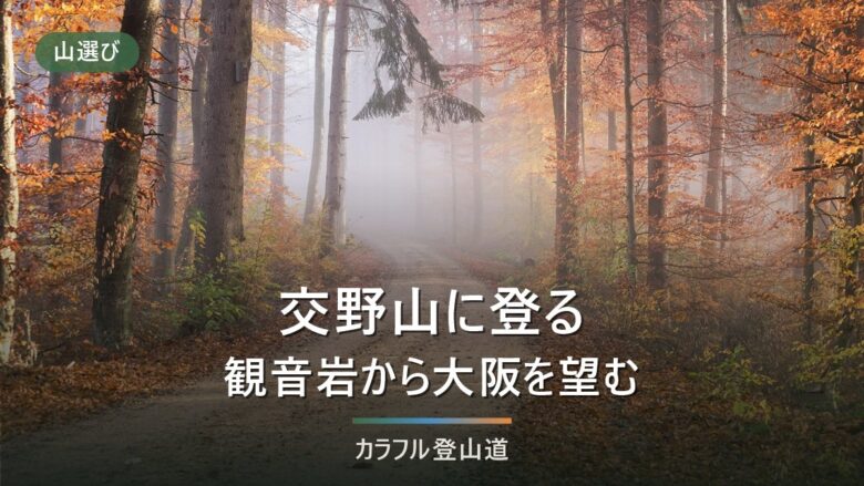 交野山（こうのさん）341mの登り方｜河内磐船駅から徒歩70分と冬の日没16時台