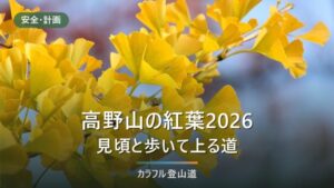 高野山の紅葉2026年の見頃は？例年10月下旬〜11月中旬・壇上伽藍と金剛峯寺・町石道