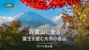百蔵山（1,003m）の登山ルート｜猿橋駅から東西2ルートの時間と扇山への縦走・冬の凍結