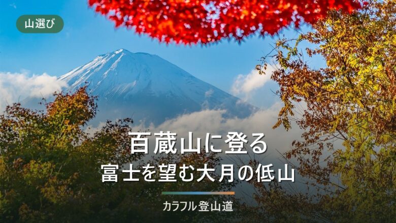 百蔵山(1,003m)の登山ルート|猿橋駅から東西2ルートの時間と扇山への縦走・冬の凍結