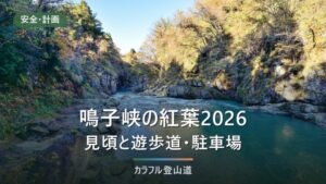 鳴子峡の紅葉2026｜例年10月中旬〜11月中旬の見頃と遊歩道350m・大深沢2.2kmの状況
