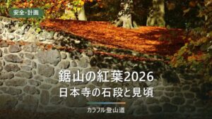 鋸山・日本寺の紅葉2026｜見頃の目安と通行止め、最終入場15時から決める下山