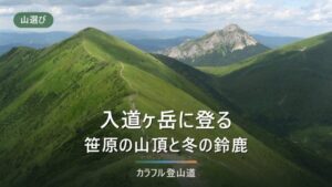 入道ヶ岳（906m）登山｜椿大神社と宮妻峡の登山口・駐車場・規制と冬の備え