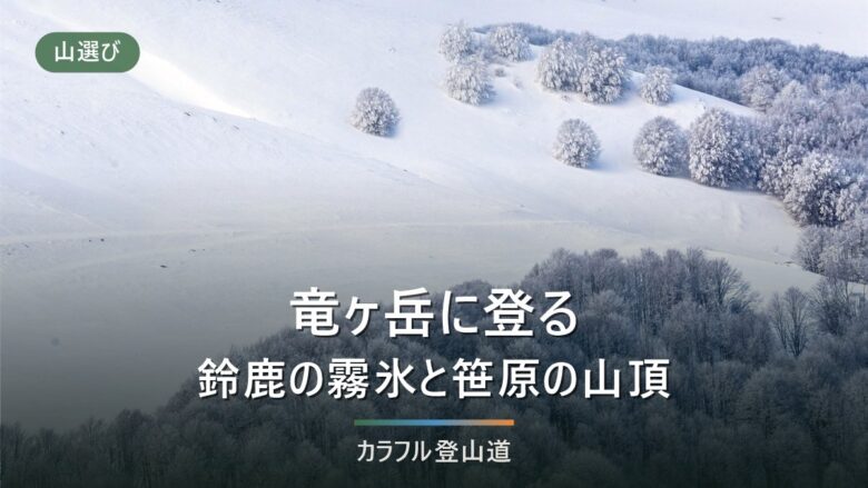 竜ヶ岳（鈴鹿・1,099m）宇賀渓の一部通行止めと石榑峠の冬、霧氷の日の判断