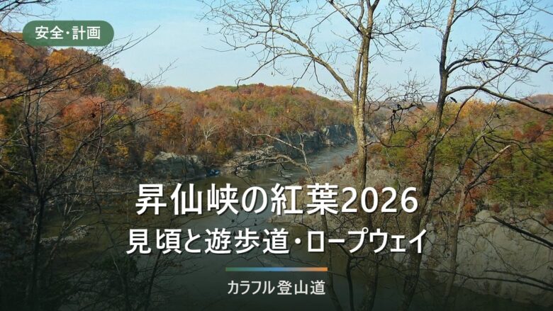 昇仙峡の紅葉2026年の見頃は例年11月第1〜2週|仙娥滝・覚円峰の遊歩道と弥三郎岳