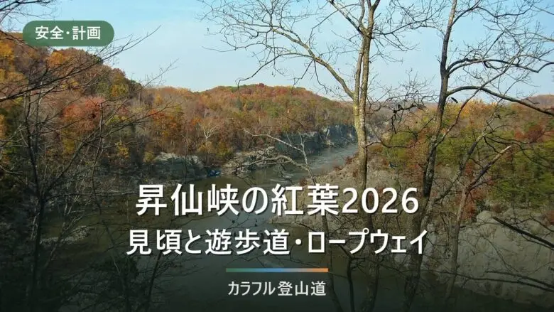 昇仙峡の紅葉2026年の見頃は例年11月第1〜2週｜仙娥滝・覚円峰の遊歩道と弥三郎岳