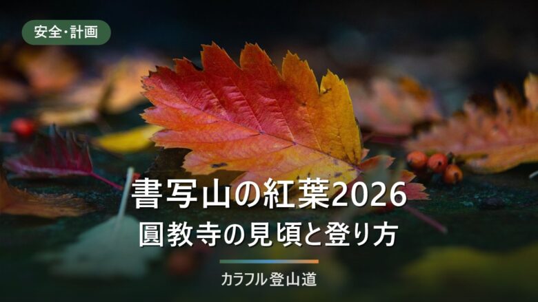 書写山・圓教寺の紅葉2026年｜例年は11月中旬〜下旬・ロープウェイ最終下りは日祝18:00