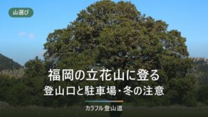 立花山（367m）の登山｜石垣ルート通行不可の案内と登山口5か所・クスノキ原生林・冬の日没