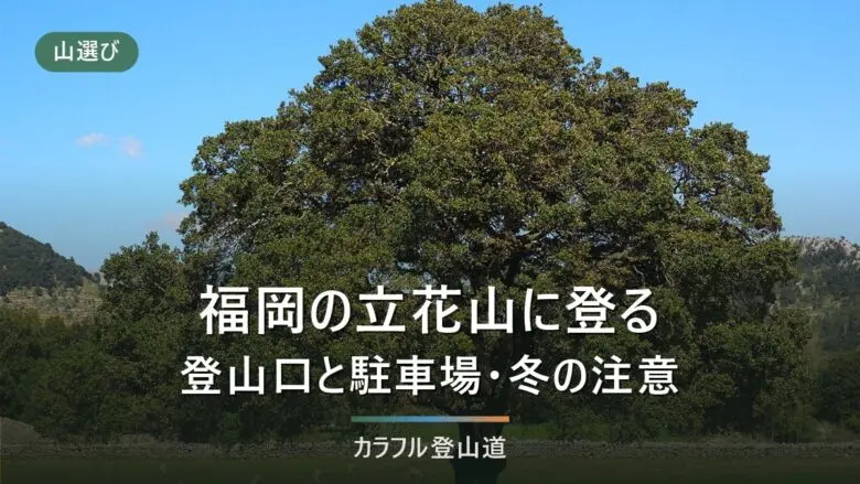立花山(367m)の登山|石垣ルート通行不可の案内と登山口5か所・クスノキ原生林・冬の日没